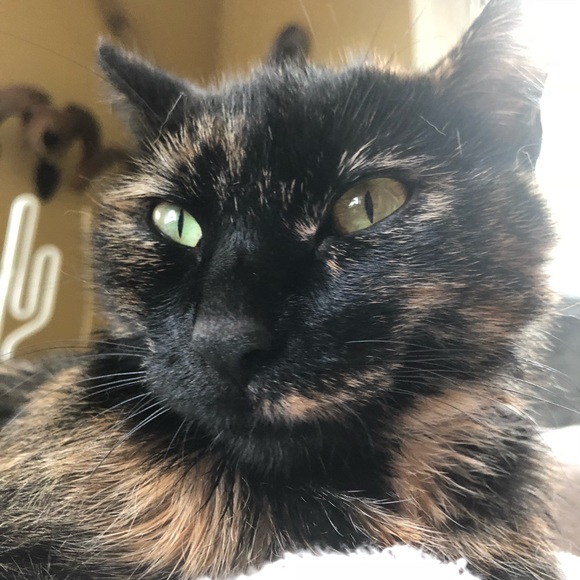 About My Home & Closet - Picture 2 of 7